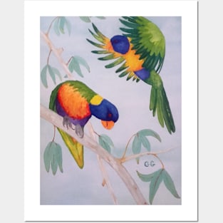 A Pair of Australian Rainbow Lorikeets Posters and Art